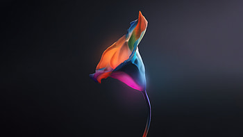 Levitate Flowers , artist, artwork, digital-art, behance HD wallpaper