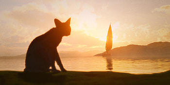 Flow (2024) Movie : A Serene Sunset View, movie, Flow (2024) HD wallpaper
