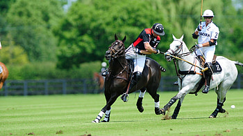 Horse Polo, Dynamic , Posted by Zoey Cunningham HD wallpaper