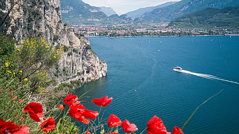 Beautiful Scenery Boats On Ocean And Closeup View Of Red Poppy Flowers City View Greenery Mountains Nature HD wallpaper