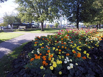 Park Garden, graphy, Summer, Trees, Flowers, Park, Nature, Garden HD wallpaper