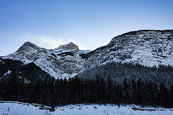 Nature, Trees, Vertex, Forest, Tops, Snow Covered, Snowbound HD wallpaper