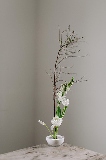 Moribana, Ikebana HD phone wallpaper