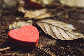 Close-up of a red heart keychain on earthy ground surrounded by dry leaves. HD wallpaper