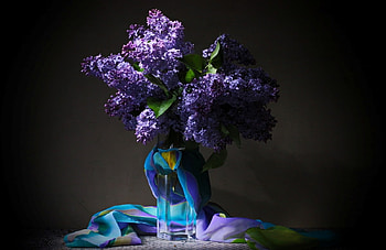 soft, still life, flowers, abstract HD wallpaper