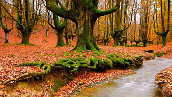 Beautiful Scenery Backgrounds HD wallpaper