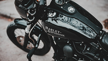 Harley-Davidson, Muscle bike, , background HD wallpaper