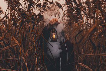 Grass, Smoke, Hand, Miscellanea, Miscellaneous, Lamp, Lantern, Human, Person HD wallpaper