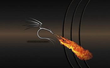 Dragon, 3d HD wallpaper