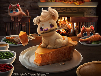 Pupkin Pie, kitten, sweet, dog, thanksgiving, cute, dessert, cat, food, orange, pumpkin pie, halloween, puppy, pisici, piper thibodeau, funny, caine HD wallpaper