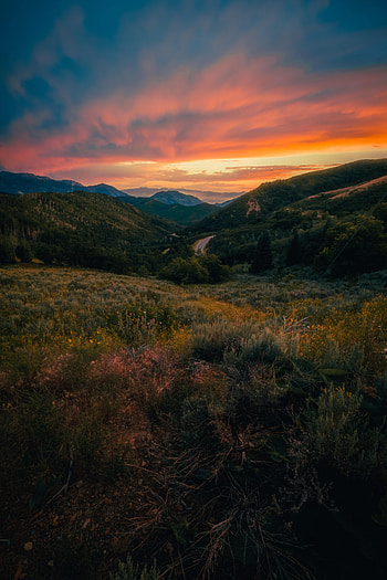 Landscape, Nature, Sunset, Grass, Mountains, Lawn HD phone wallpaper