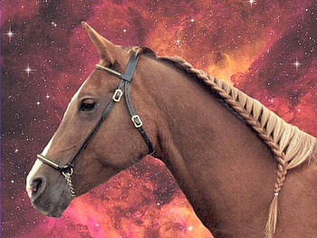 Beautiful Sky Horse, horses, planets, fantasy, arabians, clouds, sky, nature HD wallpaper