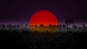 Red sun, hop, sunset, silhouette, art HD wallpaper