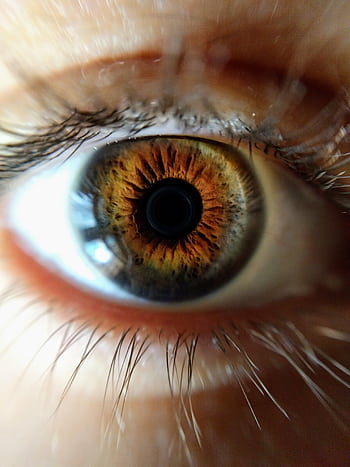 Captivating macro shot of a human eye showcasing intricate details and vibrant colors. HD phone wallpaper