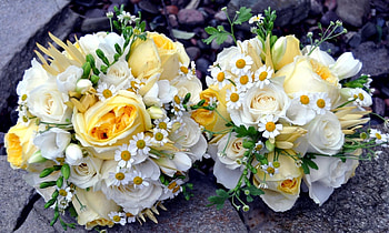 Flowers, Roses, Camomile, Bouquets, Couple, Pair, Greens, Handsomely, It's Beautiful HD wallpaper