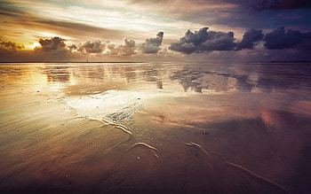 Nature, Sea, Sand, Shore, Bank, Surface, Evening, Low Tide HD wallpaper