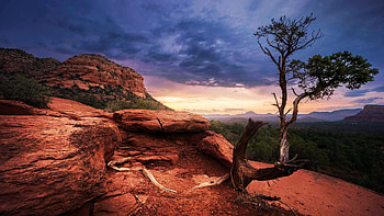 Sedona After a Storm, rocks, tree, clouds, landscape, sky, usa HD wallpaper