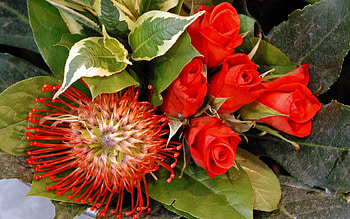 Flowers, Roses, Greens, Bouquet HD wallpaper