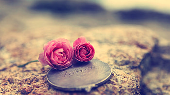 Cute girly , Backgrounds HD wallpaper