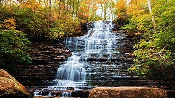 Benton Falls, Tennessee, leaves, cascades, autumn, trees, colors, usa HD wallpaper