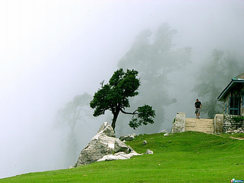 Landscape, Trees HD wallpaper