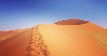 Namibia Mobile Operator, Modern communication, Technological advancement, Telecommunication industry HD wallpaper