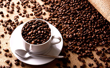 Coffee beans , Coffee beans , Coffee beans HD wallpaper