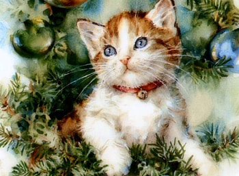 Cute cat, animal, white, cute, cat, small HD wallpaper