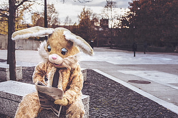 Miscellanea, Miscellaneous, Hare, Reading, Costume HD wallpaper
