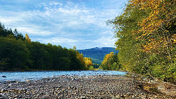 White River, Enumclaw, Washington, hills, leaves, clouds, trees, autumn, sky, forest, usa, stones HD wallpaper