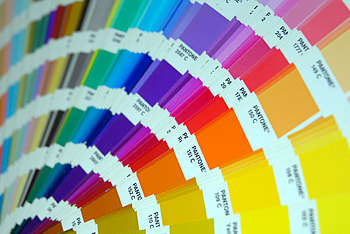 Color Palette, Pantone's selection, Zoey Johnson's post, Colorful HD wallpaper