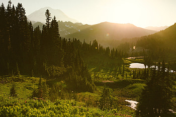 Landscape, lake, green, sunrise, nature HD wallpaper