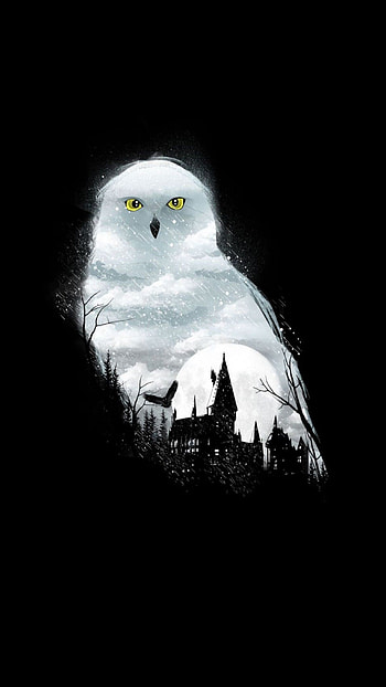 Edwiges, magic, fantasy, harrypotter, white, owl, harry, night, winter, potter HD phone wallpaper
