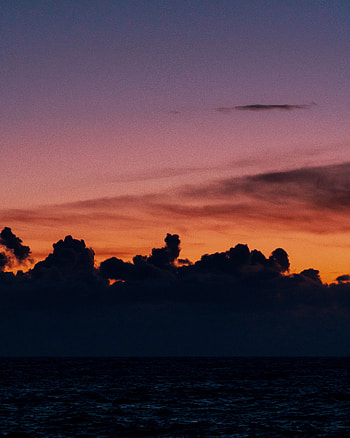 Silhouette, nature, dark, clouds HD phone wallpaper