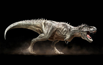 Dinosaur , Prehistoric creatures, Ancient wildlife, Paleontology HD wallpaper