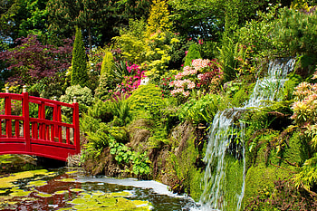 Japanese garden, garden, beautiful, park, lake, Japan, waterfall, greenery, bridge, flowers, forest, pond HD wallpaper