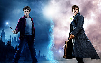 Fantastic Beasts and Where to Find Them, Harry Potter HD wallpaper