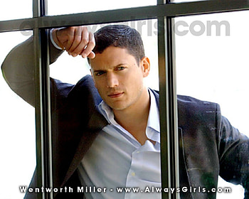 Wentworth Miller, hot, actors, prison break HD wallpaper