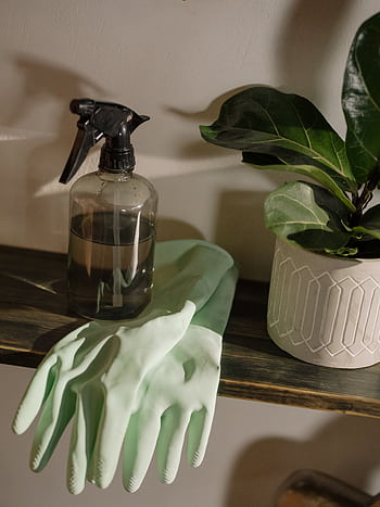 A stylish cleaning setup featuring green gloves, a spray bottle, and a potted plant. HD phone wallpaper