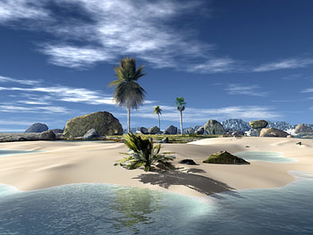 Landscape, Sky, Sea, Beach, Palms HD wallpaper