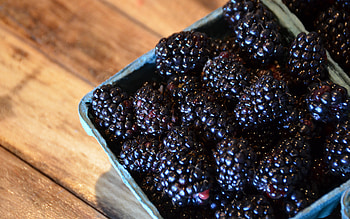 Blackberries, fruit, berries, food HD wallpaper