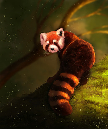 Art, Fluffy, Brown, Animal, Little Panda, Small Panda HD phone wallpaper