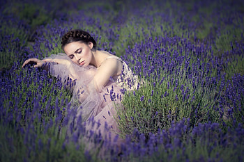 lady, model, graphy, beauty HD wallpaper