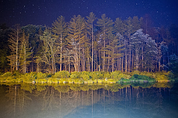 Forest, lake, reflection, Android Stock, tree HD wallpaper