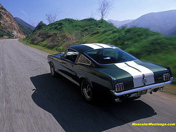 GT 350, ford, mustang, 350, gt HD wallpaper