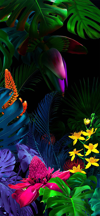 LG V60, LG Velvet HD phone wallpaper