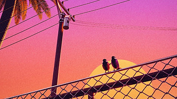 Birds Chillwave, birds, artist, artwork, digital-art HD wallpaper