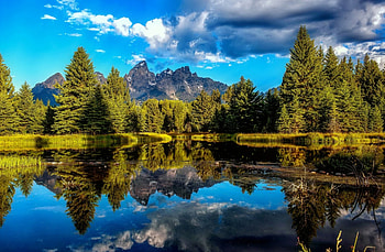 Reflections, mirror, beautiful, serenity, mountain, lake, shore, clouds, trees, sky, forest HD wallpaper