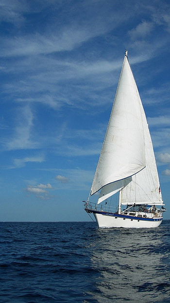 Sailboat , Zoey Sellers, Sports, Backgrounds HD phone wallpaper
