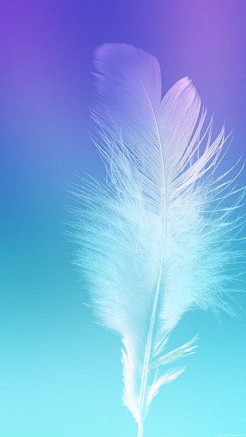 Colorful feathers, Cute feather backgrounds, Feather art, Delicate patterns HD phone wallpaper